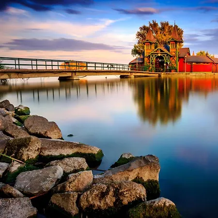 The Bird Of Happiness - Happy