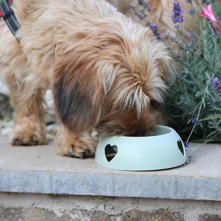 The Bird Of Happiness - Happy דירה *